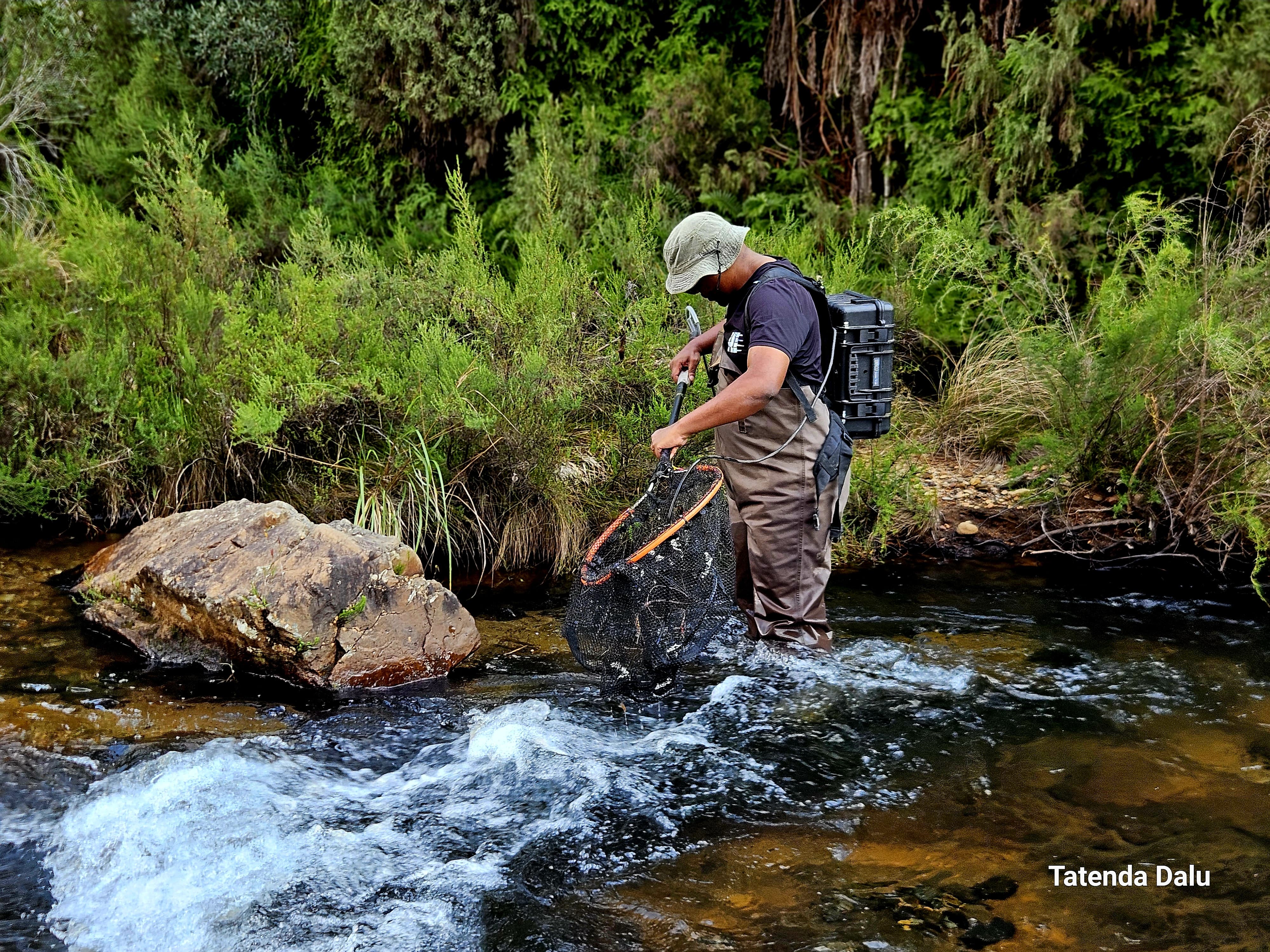 WhatsApp Image 2025-05-11 at 22.19.33